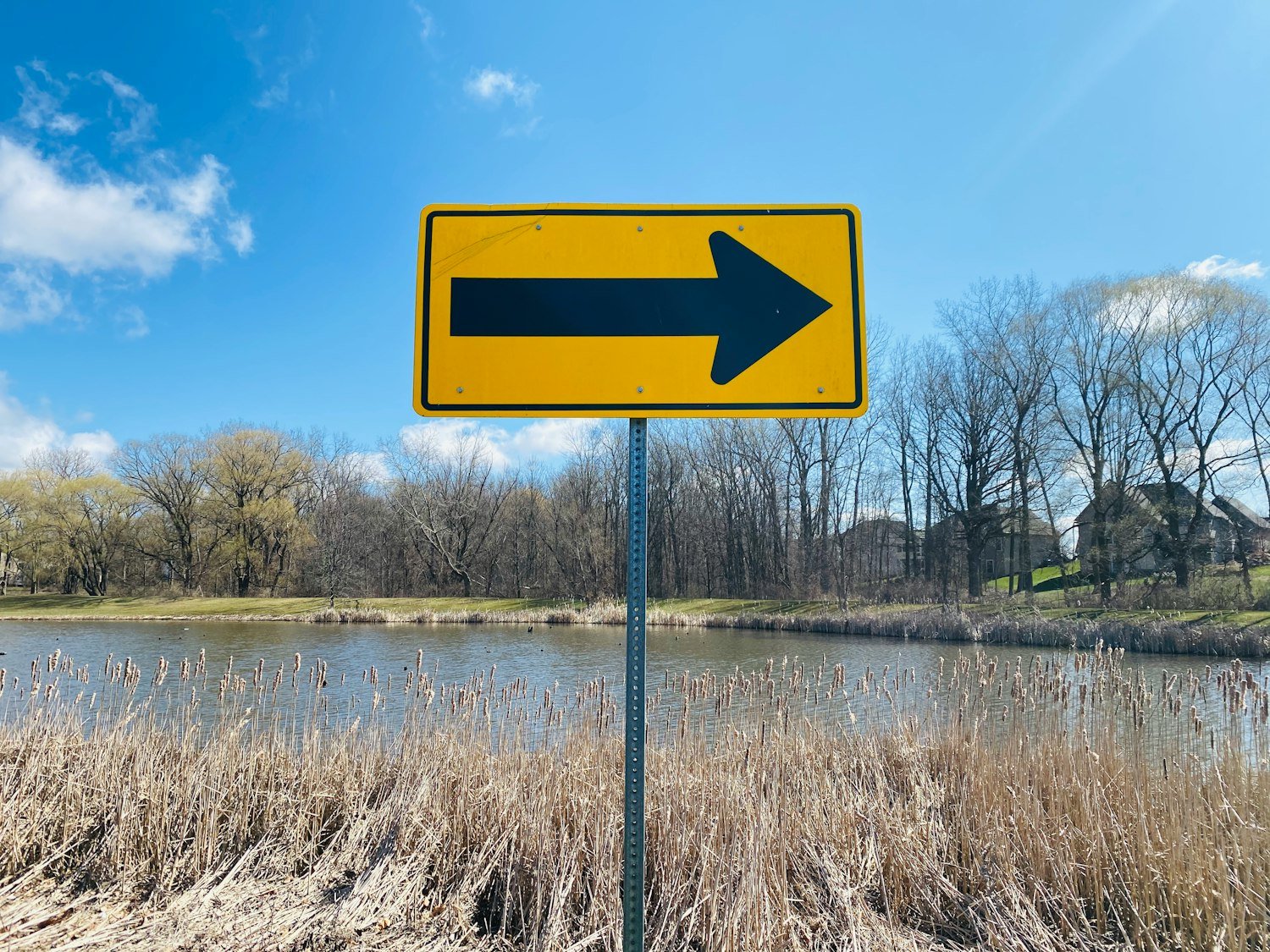 A blue and white arrow sign pointing the way forward