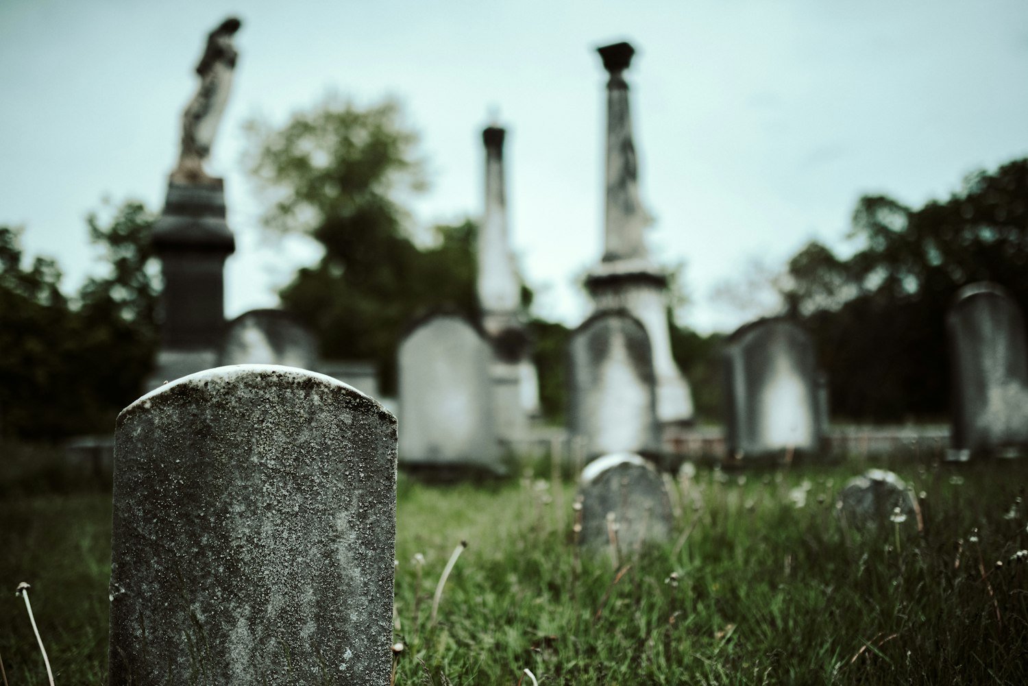 A grave marker in a cemetery field, where burial records help confirm a veteran ancestor's service