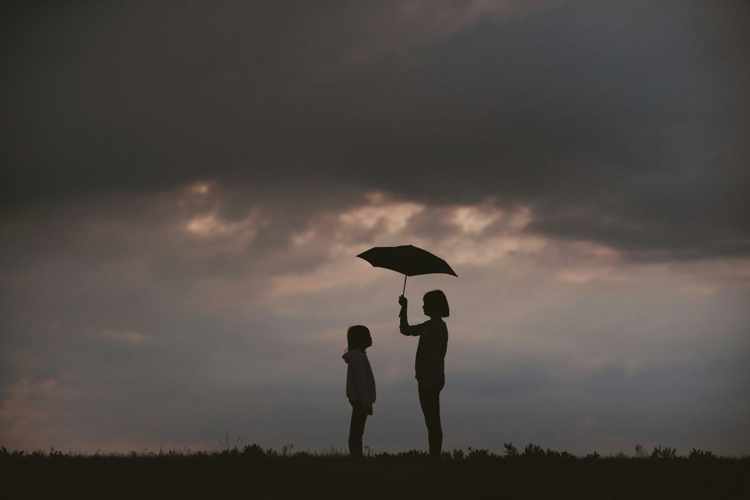 A child holding an umbrella in a field, representing coverage and protection