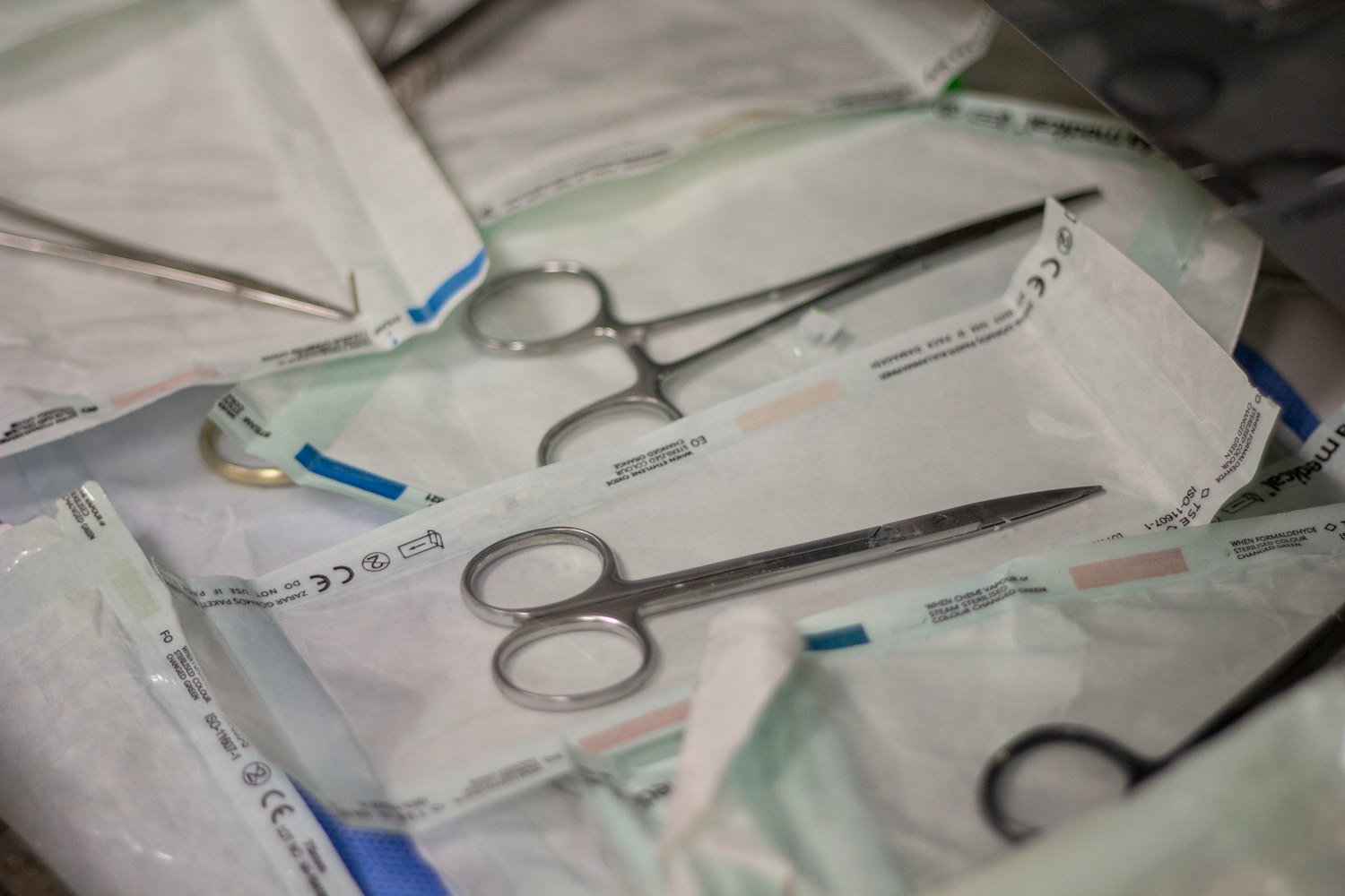Dental instruments and supplies laid out on a tray