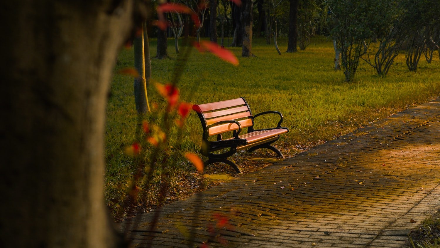 An empty park bench beside a path in soft light