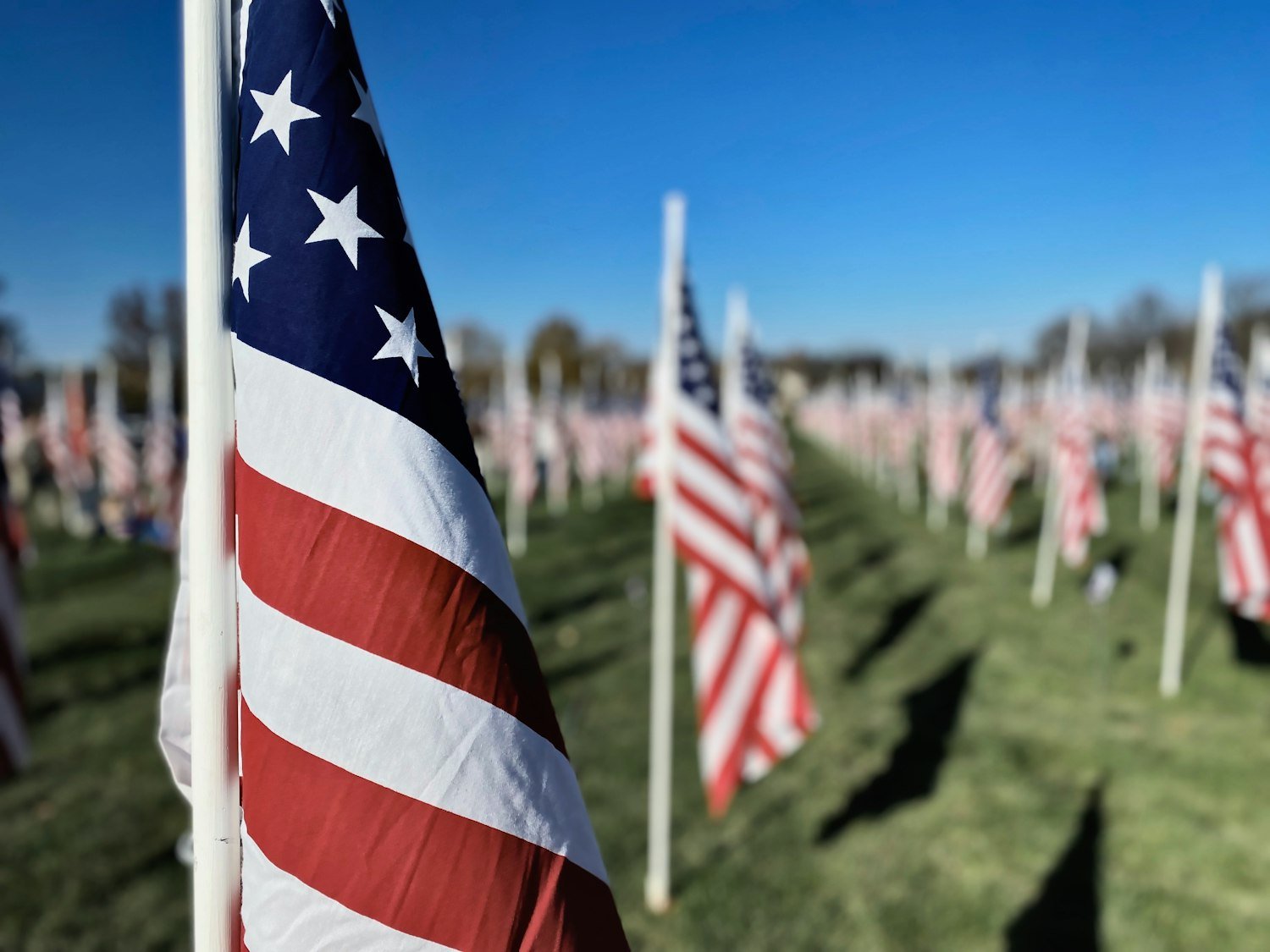 A field full of American flags on a sunny day, honoring veterans