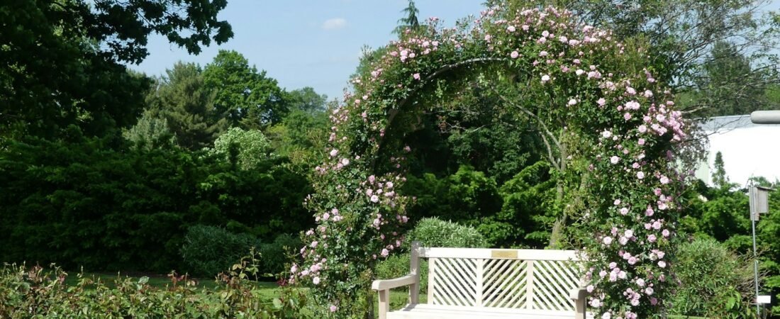 A bench in a quiet garden, the kind of grounds a residential care home is built around
