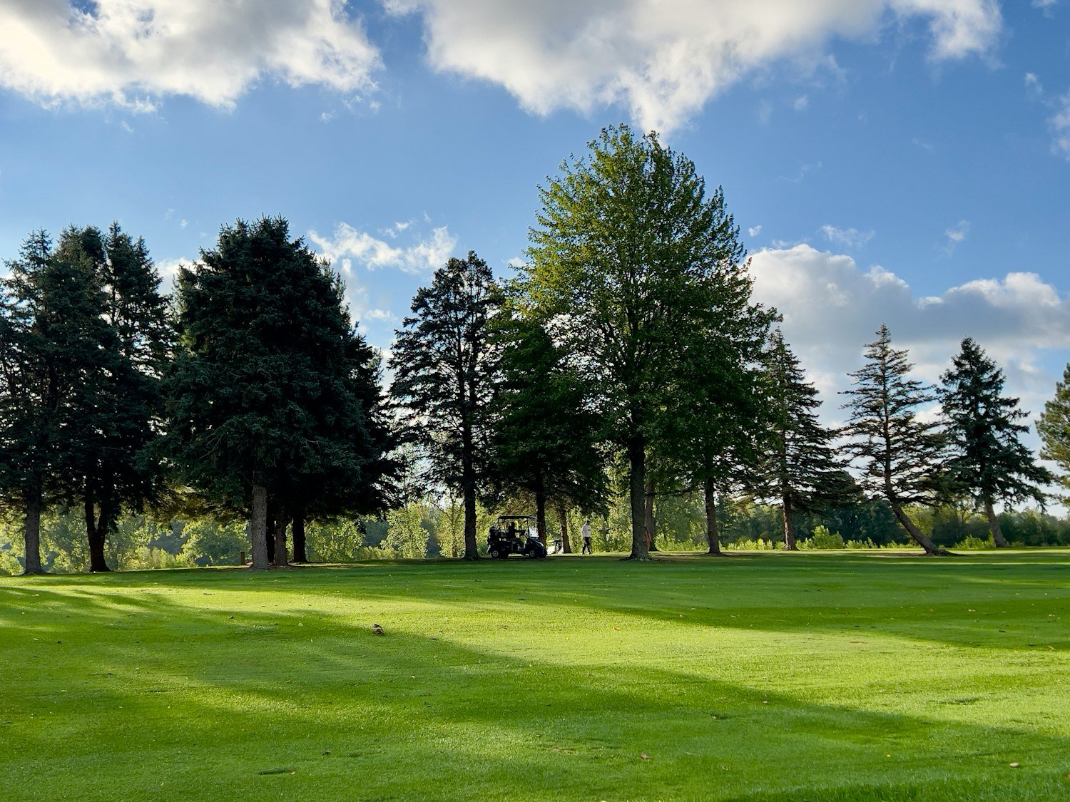 A green golf course with tall trees, one of the MWR facilities now open to eligible veterans