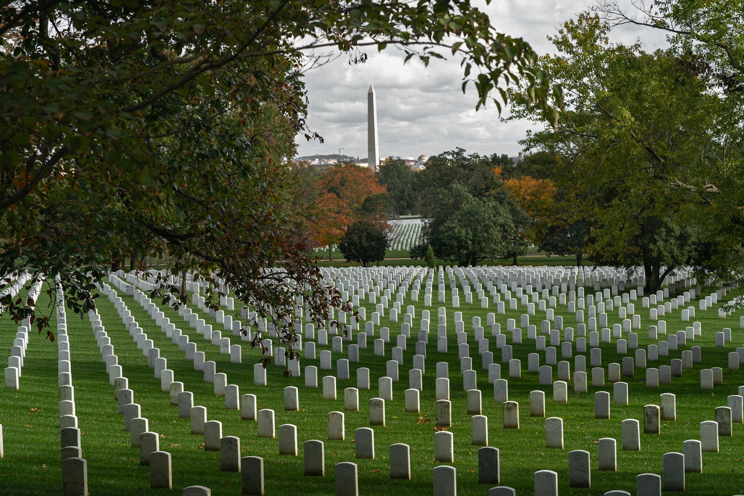 A national cemetery with rows of headstones framed by trees