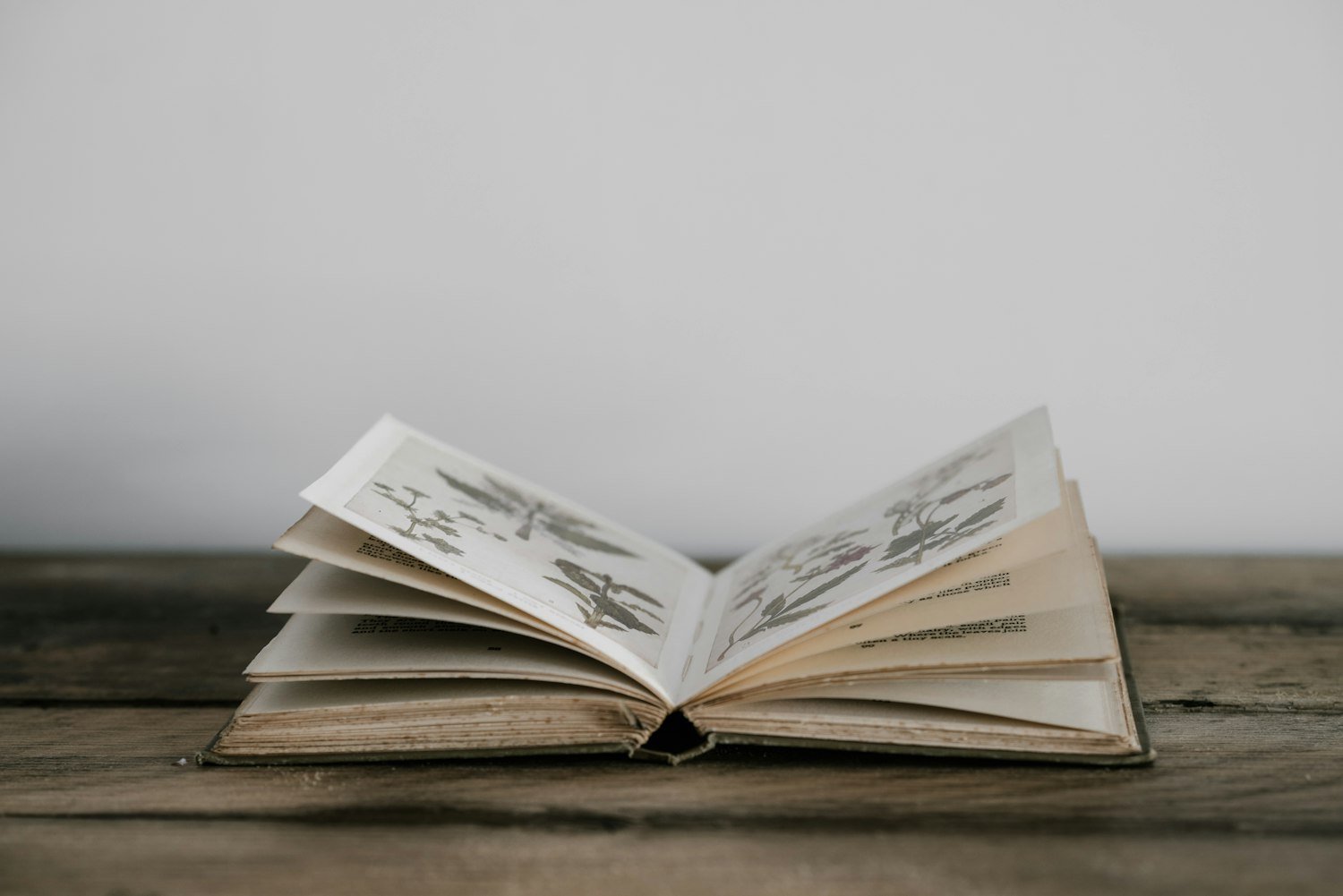 An open book, representing the text of the Preamble to the Constitution of The American Legion