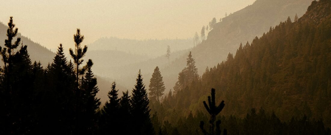 An Oregon mountain range with forest in the foreground
