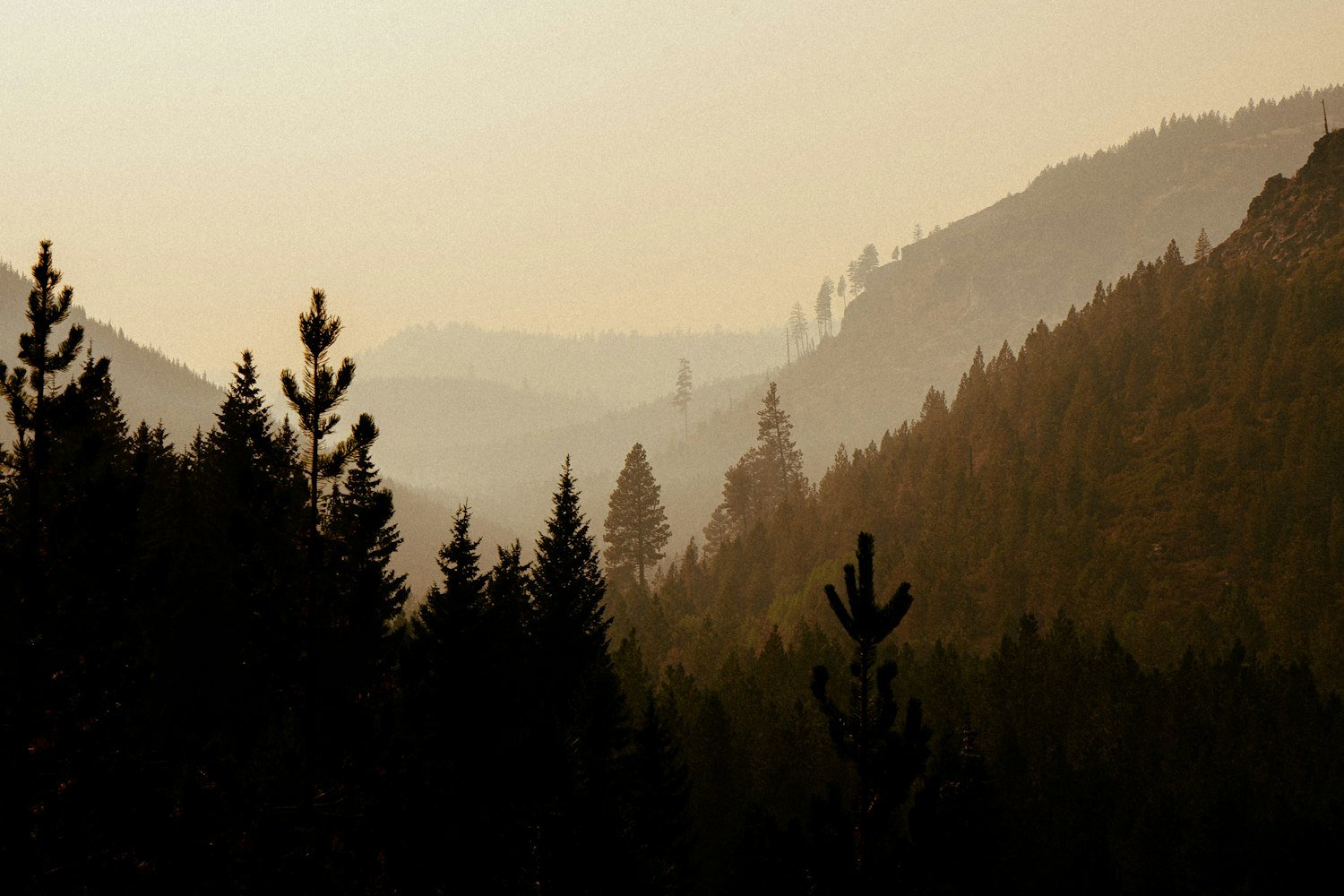 Oregon Veteran Benefits: State Programs Beyond the VA
