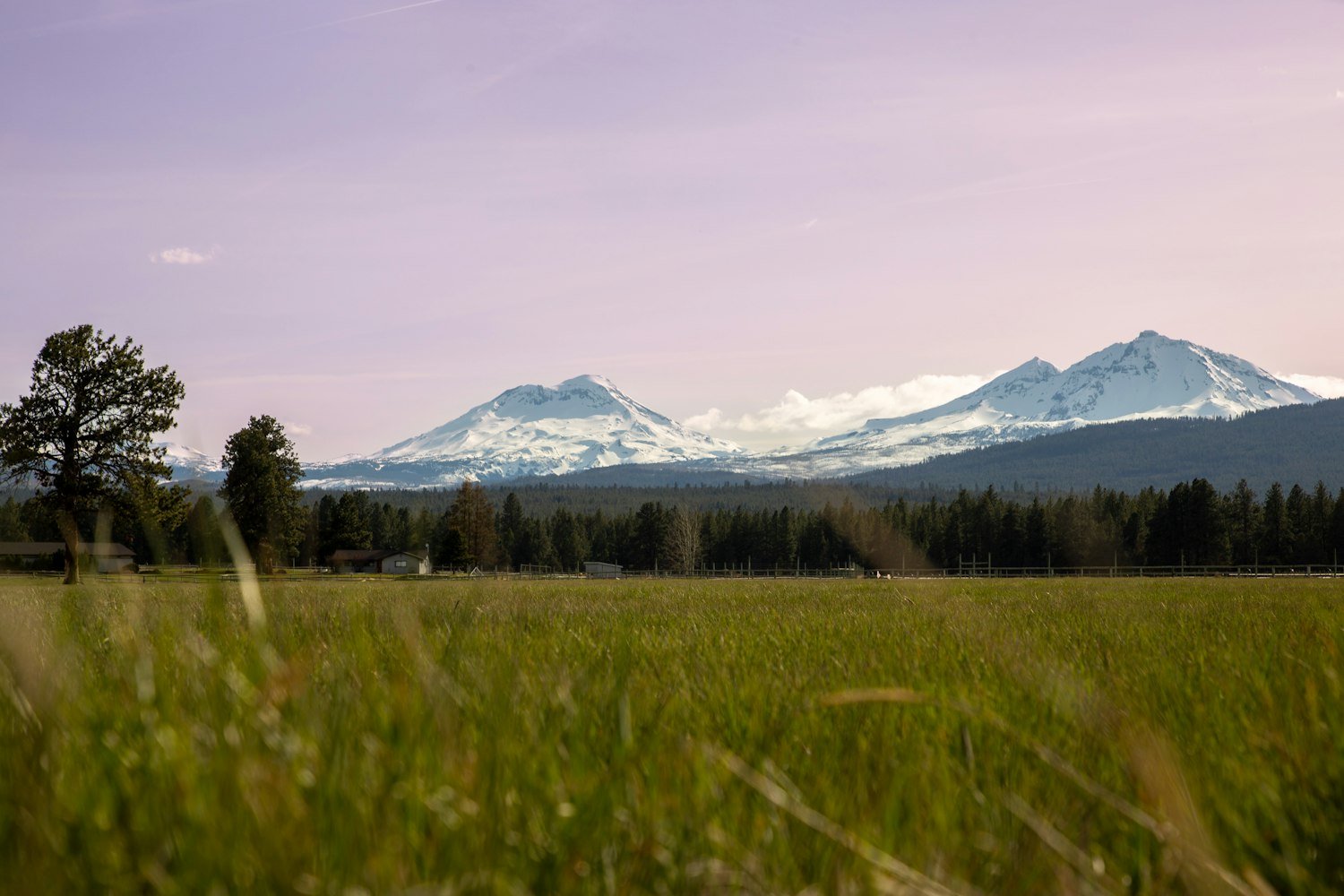 A grassy Oregon valley with mountains in the background