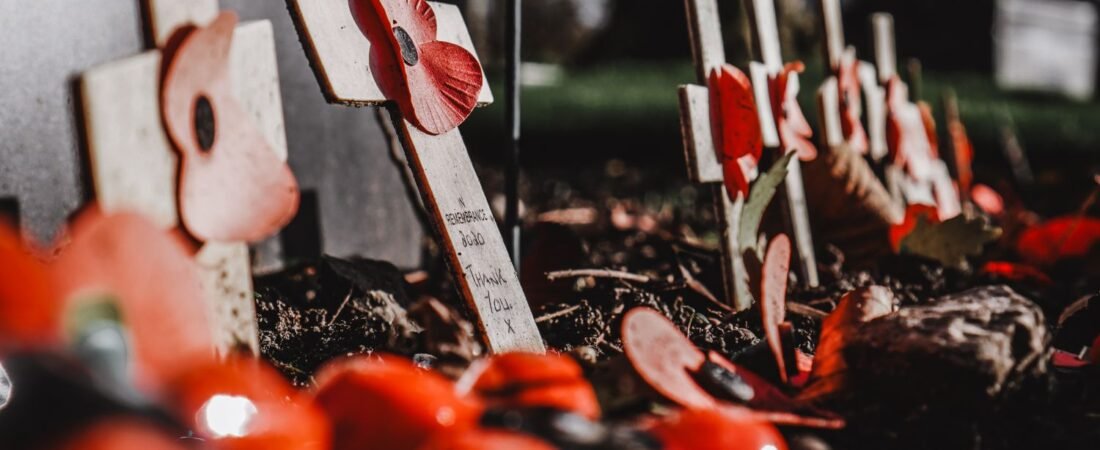 Symbolic white crosses with red poppies in a cemetery, signifying remembrance and honor for fallen soldiers