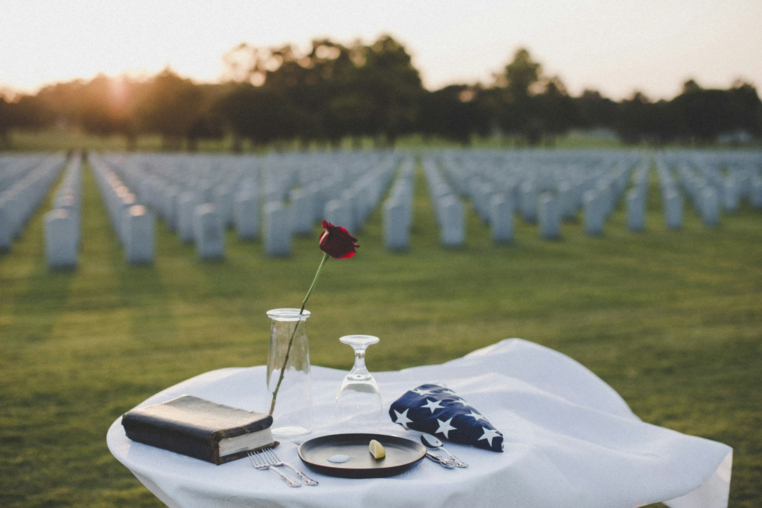 A single red rose laid as a tribute of remembrance