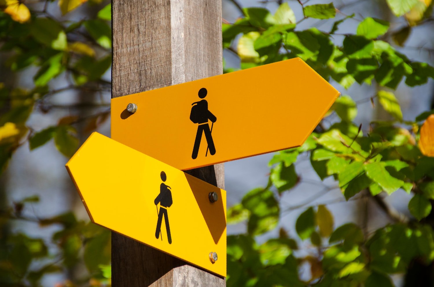 A road signpost pointing in different directions, representing choosing a review path