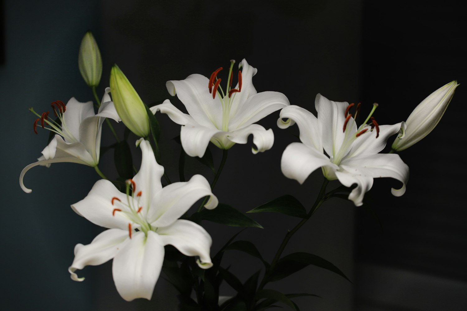 A cluster of white flowers left as a sympathy tribute